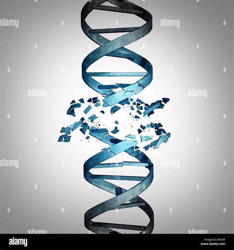 Damaged DNA and genetic mutation biotechnology concept as a double helix strand with damage as a ...