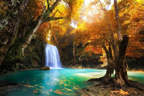 Waterfall Paradise Wallpapers - Wallpaper Cave