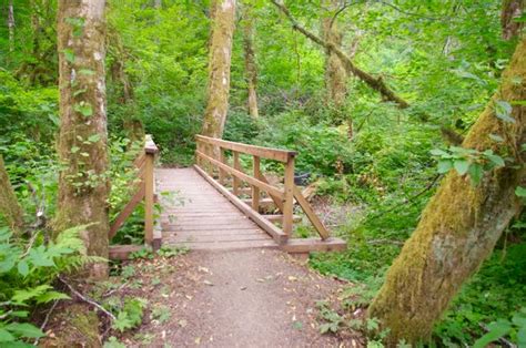 File:First footbridge, Gales Creek Trail.jpg - Hiking in Portland, Oregon and Washington