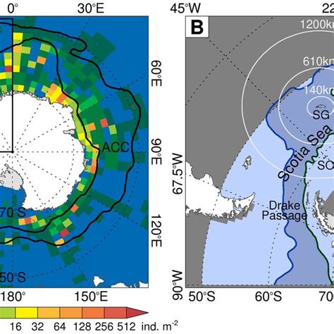 The distribution of Antarctic krill and the study area. (A) The ...