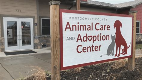 Montgomery County animal adoption center increases live release rate ...