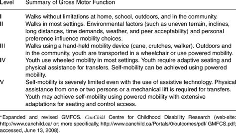 Gross Motor Function Classification System | Business Mentor