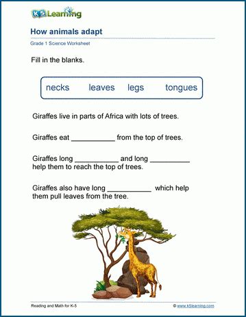 Animal Adaptations Worksheets | K5 Learning