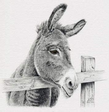 Pencil Donkey From Shrek Drawing : Fiona Shrek Draw Donkey Coloring ...