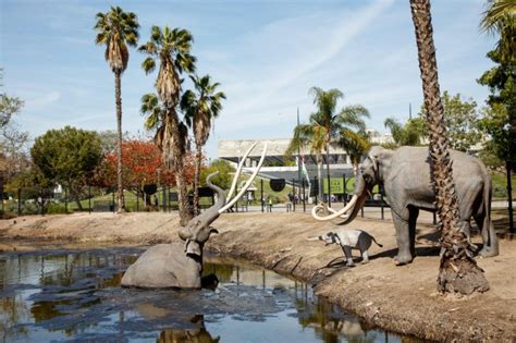 La Brea Tar Pits Map - Maping Resources