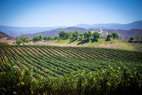 The 8 Best Temecula Wine Tours of 2020