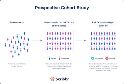 What Is a Prospective Cohort Study? | Definition & Examples