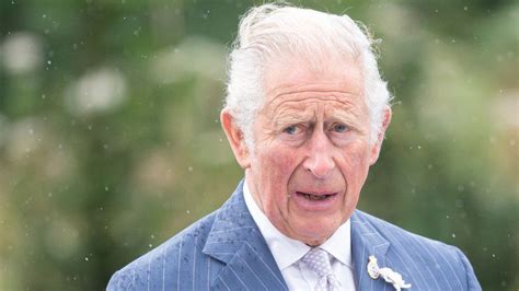 Police to investigate Prince Charles' charity - BBC News