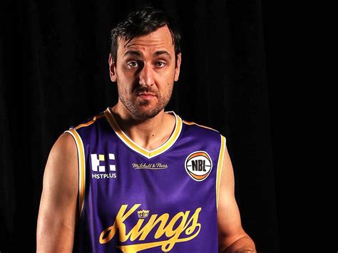 NBL: Andrew Bogut Sydney Kings debut | Daily Telegraph