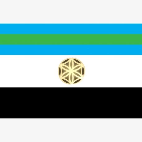 Asgardia flag - AEDAEN