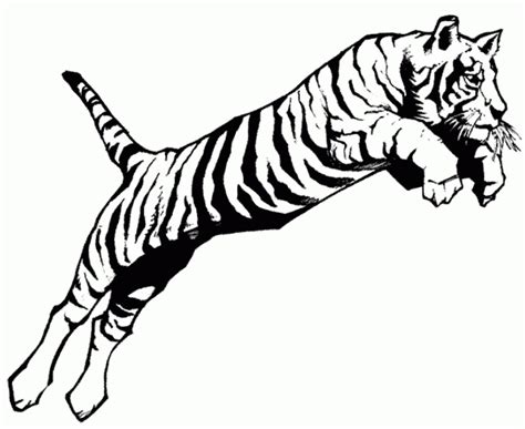 Tiger Coloring Pages For Kids Printable