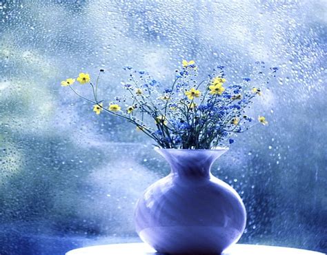 Elegant vase of flowers, vase, flowers, blue, water drops, HD wallpaper | Peakpx