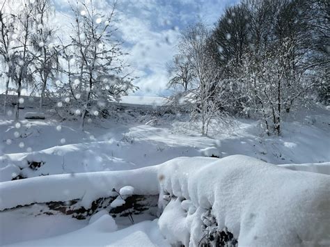 Snowdrops and then Snow! – Spring 2023 – West Barn, Holymoorside