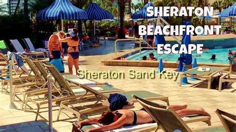 Why the Sheraton Sand Key Resort is a 4-Star Hotel on the Beach! - YouTube