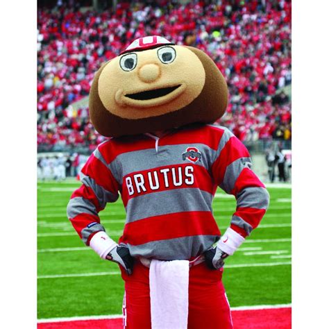 Ohio State University Brutus Buckeye Mascot Costume