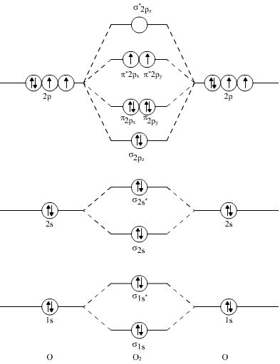 why is molecular oxygen paramagnetic inspite of having even number of ...