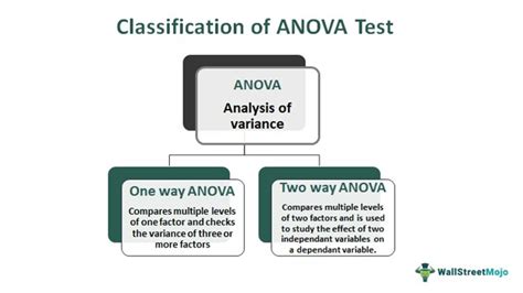 Two-Way ANOVA - Assumption, Example, Test, Interpretation