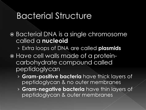 Bacteria. - ppt download