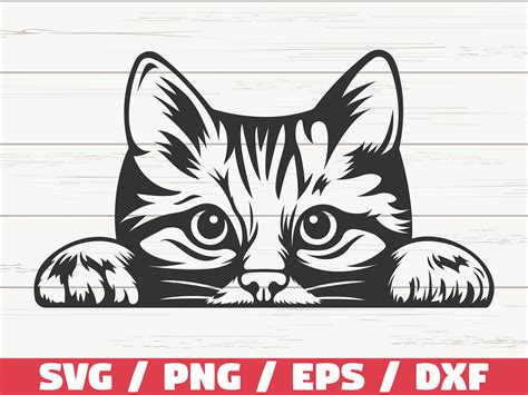 Katze SVG / Katze SVG / Plotterdatei / Cricut / Kommerzielle - Etsy Österreich