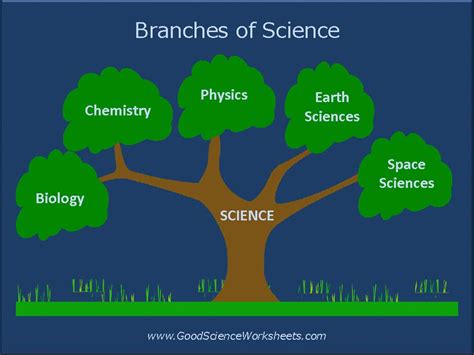 Branches of Science [Presentation] | Teaching Resources