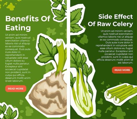 Premium Vector | Benefits of eating celery side effects poster