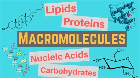 Macromolecules | Classes and Functions - YouTube