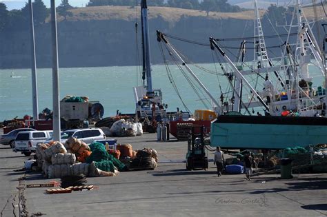 Assorted Goodies: Lyttelton Port & Petanque