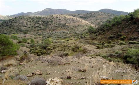 Troodos National Forest Park | Cyprus Island