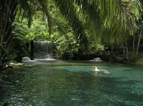 Gambar Sungai Indah Di Indonesia - Ani Gambar