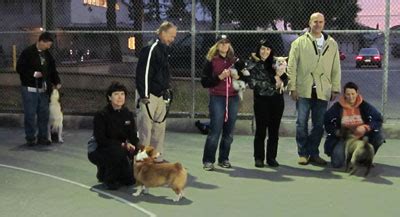 Companion Dog Training - Lomita Dog Training