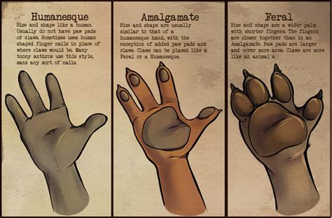 Anthro Hands by coffinberry on DeviantArt