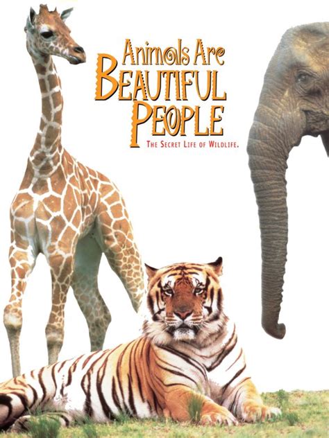 Animals Are Beautiful People (1974) - Jamie Uys | Synopsis, Characteristics, Moods, Themes and ...