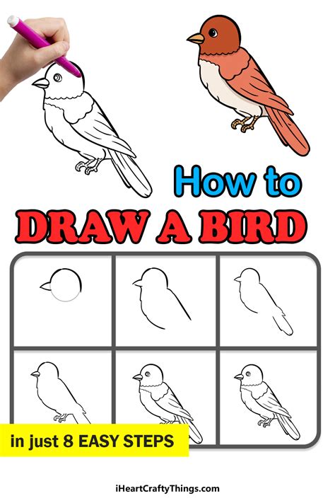 How To Draw A Simple Bird For Kids