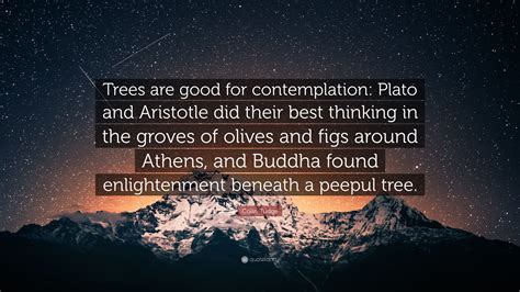 Colin Tudge Quote: “Trees are good for contemplation: Plato and ...