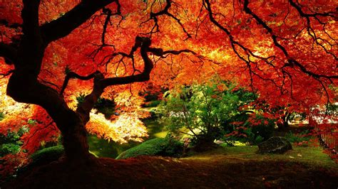 Japanese Gardens Wallpapers - Wallpaper Cave