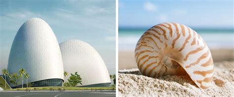 10 Nature Inspired Architectural Masterpieces