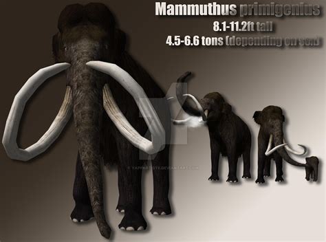 Woolly Mammoth Profile by YappArtiste on DeviantArt