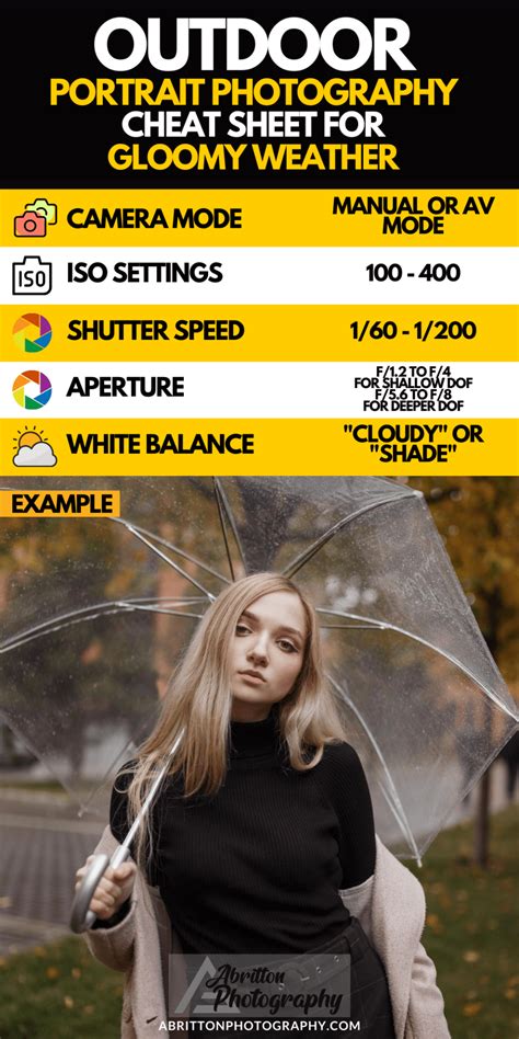 Outdoor Portrait Photography Cheat Sheet Camera Settings - Cloudy ...