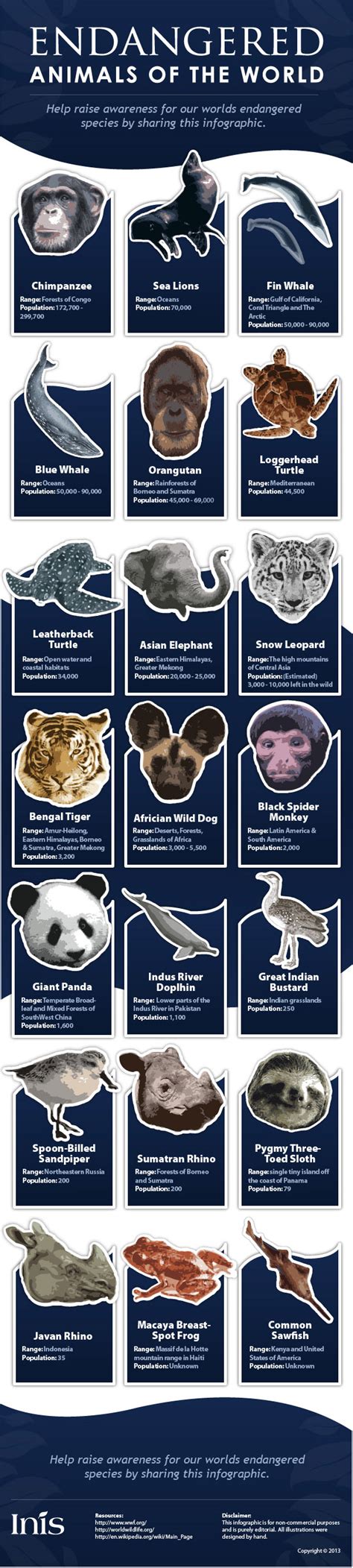 INFOGRAPHIC: Endangered animals from around the world | Inhabitat ...