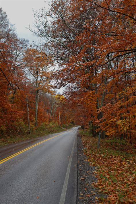 Autumn in Vermont - Harlowe James