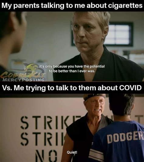 40+ Hilarious COBRA KAI Memes - Guide For Geek Moms in 2022 | Karate ...