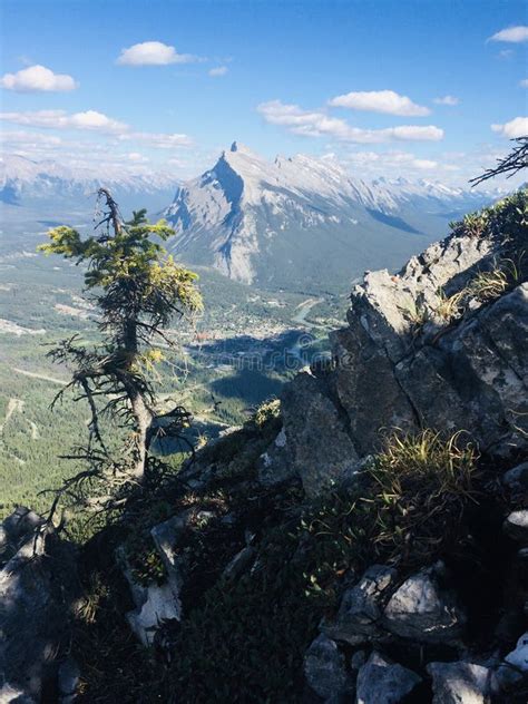 Scenic View of Banff National Park from Mount Norquay Stock Photo ...