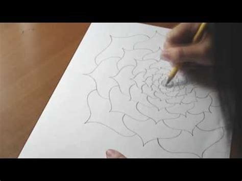 Sampaguita Flower Drawing at GetDrawings | Free download