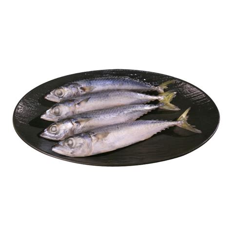 China Pacific Mackerel For Philippines Market Suppliers, Factory ...