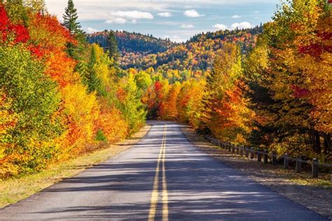 Take a Scenic Drive through New York’s Fall Foliage! - Emerson Resort & Spa