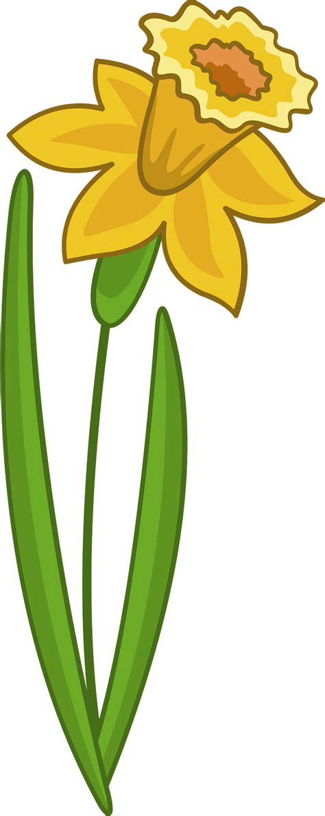 Daffodil Clip Art