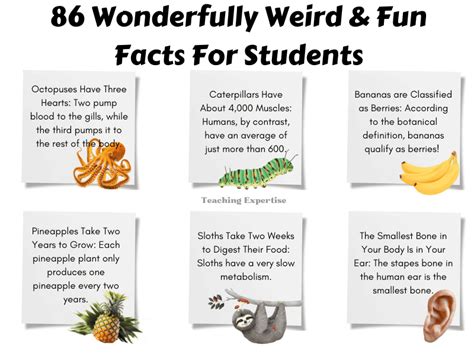 86 Wonderfully Weird & Fun Facts For Students - Teaching Expertise