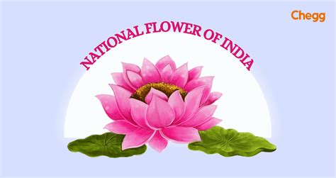 National Flower of India (21 March): Beauty, Pride & Symbol