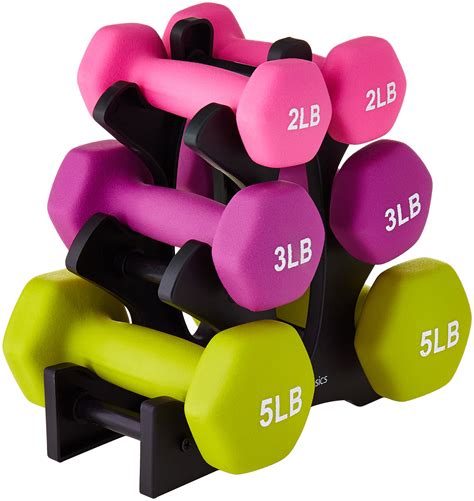 20 Pound Hand Weights Dumbbell Set 2 3 5 LB with Stand, Gym Exercise ...