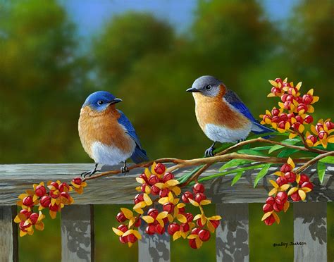 Spring Birds Wallpaper - WallpaperSafari